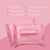 imageAir Jungles Makeup Remover Wipes for Face Eyes 25 Count Pack of 4 Alcohol Free for All Skin Extra Large Soft Cleansing Facial Towelettes for Waterproof Makeup