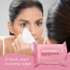 imageAir Jungles Makeup Remover Wipes for Face Eyes 25 Count Pack of 4 Alcohol Free for All Skin Extra Large Soft Cleansing Facial Towelettes for Waterproof Makeup