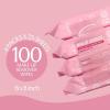 imageAir Jungles Makeup Remover Wipes for Face Eyes 25 Count Pack of 4 Alcohol Free for All Skin Extra Large Soft Cleansing Facial Towelettes for Waterproof Makeup