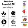 imageAir Jungles Poppy Entice Fragrances Reed Diffuser Set with Sticks Poppy Entice Scent Incense Oil Essential Oil Air Freshener for Home Office Gym and Room Diffuser 34 fl ozPassion Fruit