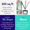imageAir Jungles Poppy Entice Fragrances Reed Diffuser Set with Sticks Poppy Entice Scent Incense Oil Essential Oil Air Freshener for Home Office Gym and Room Diffuser 34 fl ozSummer Passion