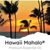 imageAir Jungles Serene Summer Scent Car Air Freshener Clip 6 Vent Clips 4ml Each Long Lasting Air Freshener Up to 180 Days Car Refresher Odor EliminatorHawaiian
