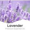 imageAir Jungles Serene Summer Scent Car Air Freshener Clip 6 Vent Clips 4ml Each Long Lasting Air Freshener Up to 180 Days Car Refresher Odor EliminatorLavender
