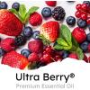 imageAir Jungles Serene Summer Scent Car Air Freshener Clip 6 Vent Clips 4ml Each Long Lasting Air Freshener Up to 180 Days Car Refresher Odor EliminatorUltra Berry